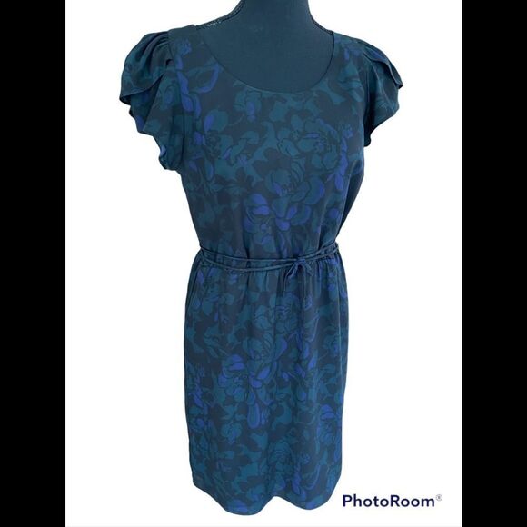 LOFT lined flutter sleeved floral dress, elastic waist with tie, size 4 - Picture 1 of 7